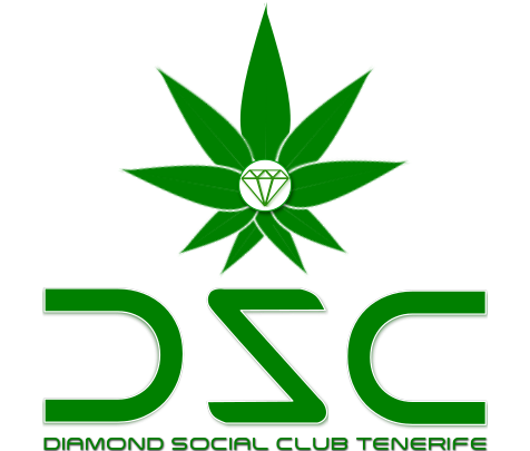 LOGO VERDE FINAL 2023